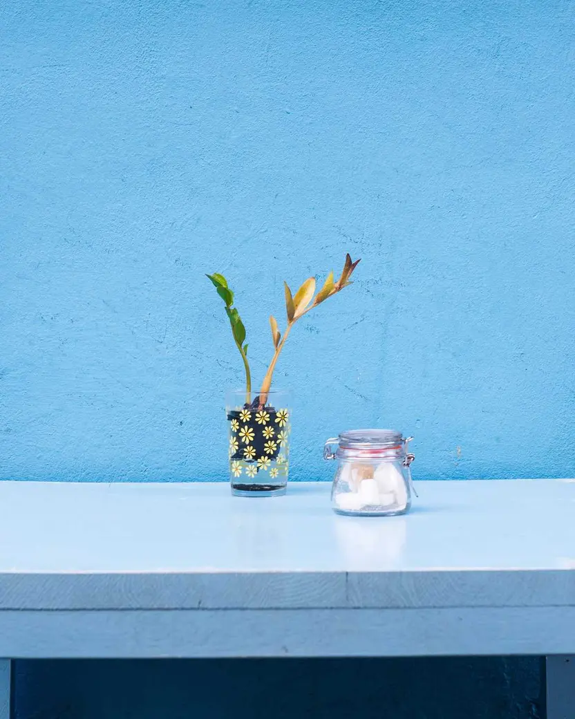 Mesa blanca con un jarrón y un bote de cristal ante una pared azul